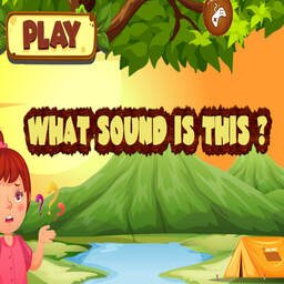 SoundSnap